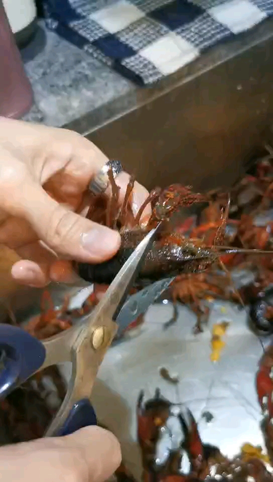 如何宰杀小龙虾