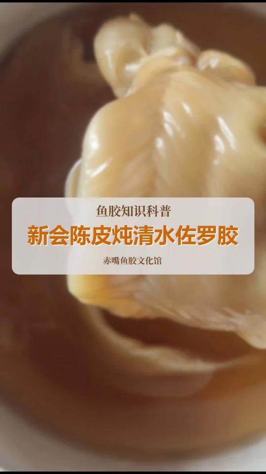新会陈皮炖佐罗鱼胶