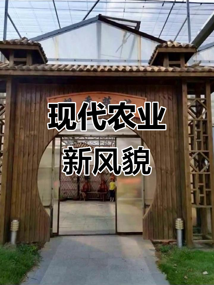 上海奉贤的“都市菜园”,五万亩蔬菜基地尽显科技魅力