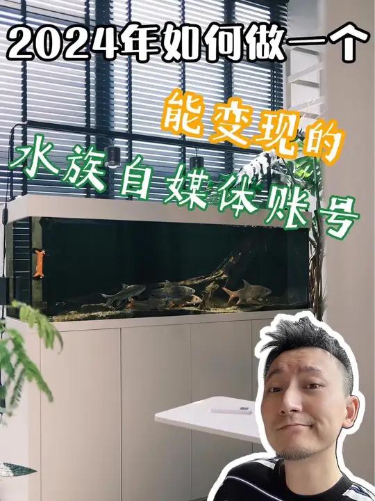 2024年,如何做一个能变现的水族自媒体账号,这个视频全部分享给你。自媒体创业 水族爱好者