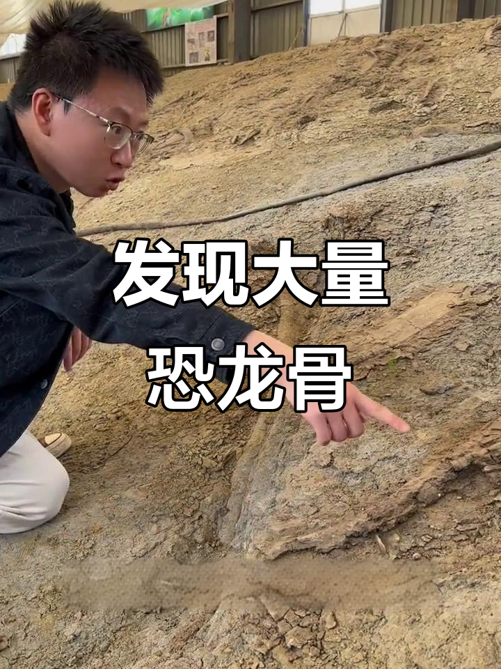 恐龙化石聚集地,揭秘鸭嘴龙遗迹与湖泊环境