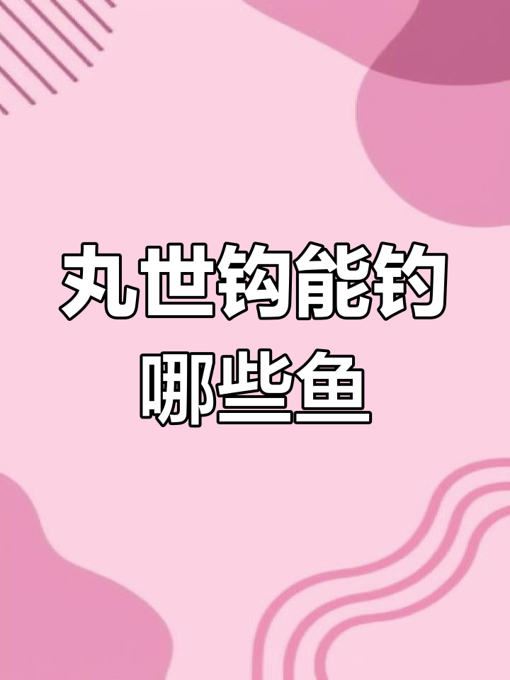 丸世鱼钩适合钓什么?从子线到铅坠全解析