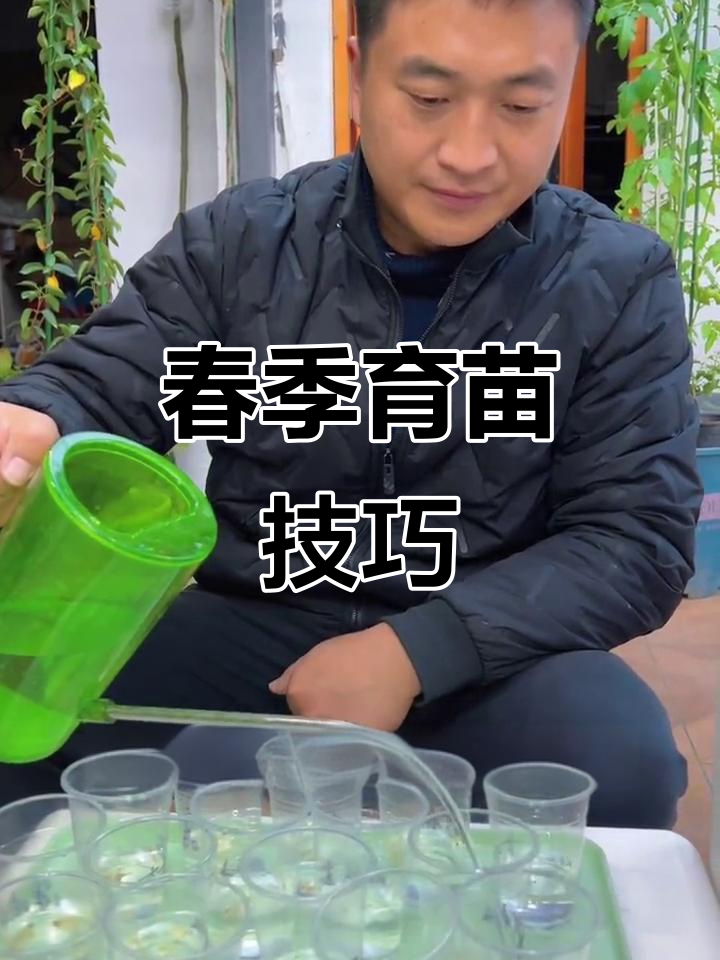 春季育苗全攻略,蔬菜泡种时间表一览