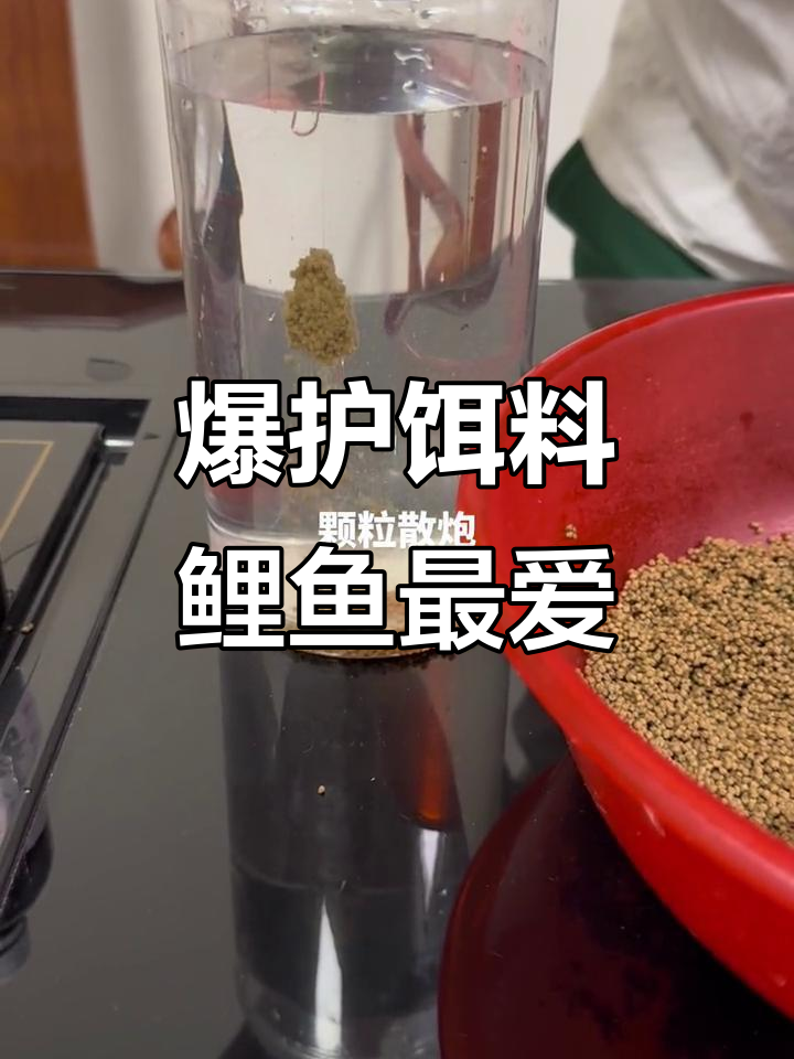 鲤鱼必备!这款麻肠颗粒泡让钓鱼更轻松