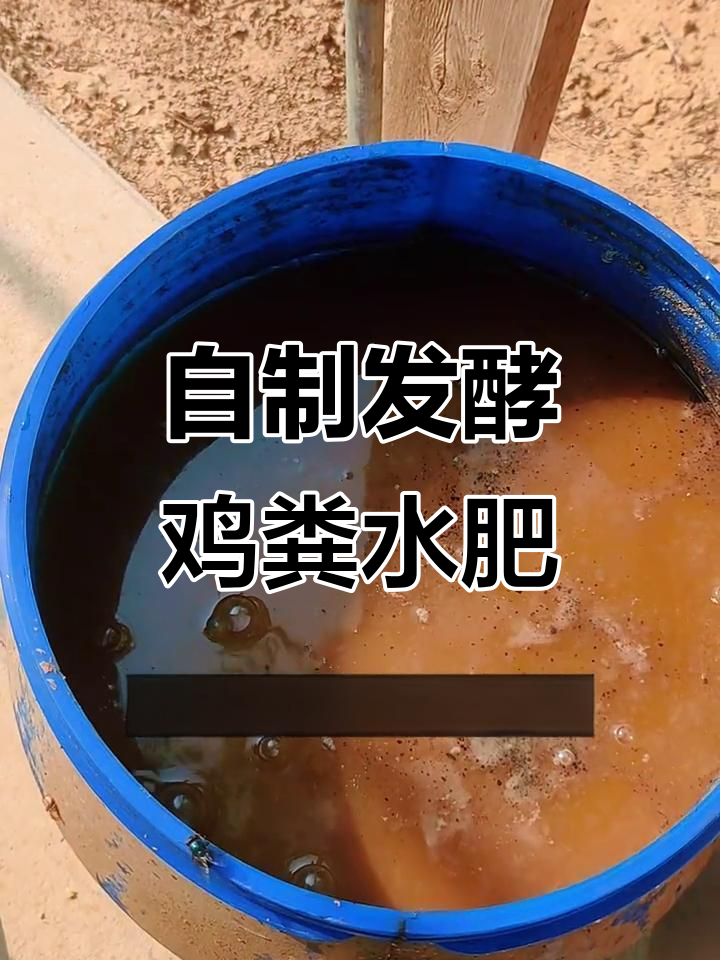鸡粪发酵成有机水肥，简单步骤教你轻松做