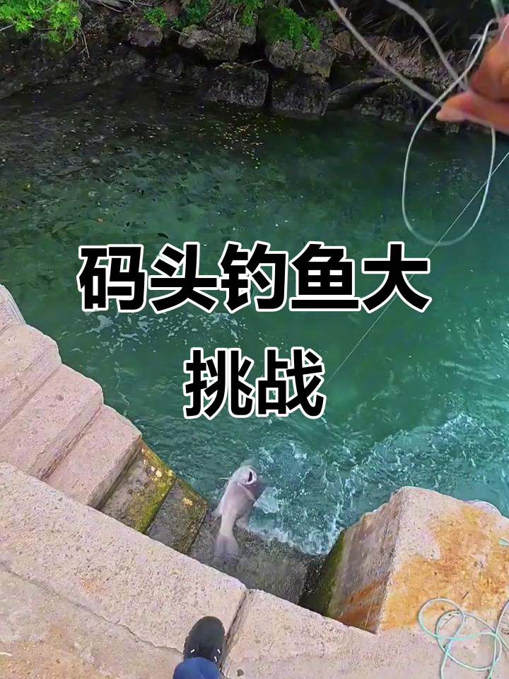 码头钓鱼新玩法,竟然能钓到这么大的鱼!