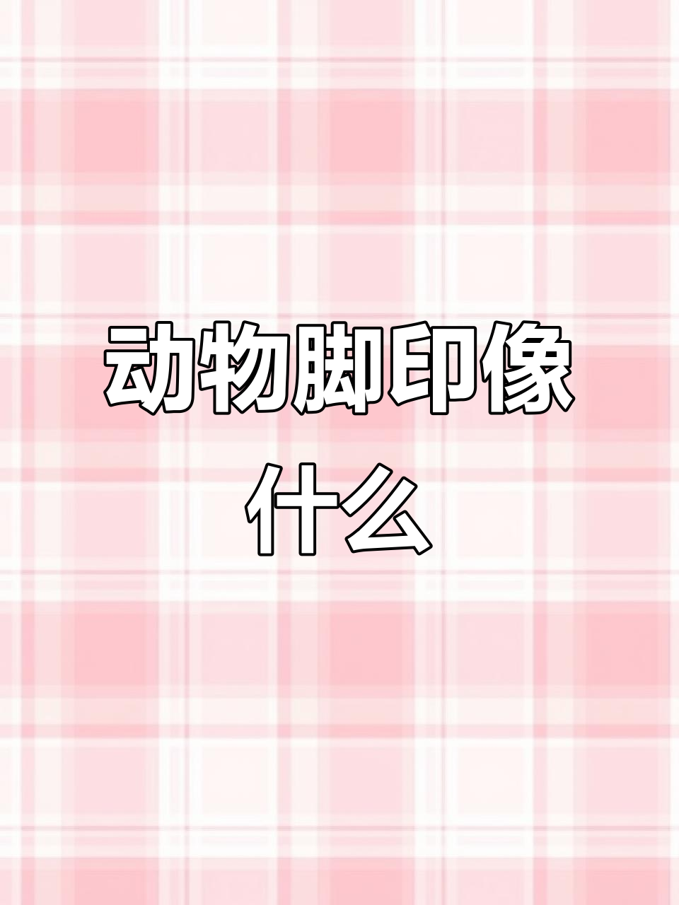 小动物脚印大比拼，看看谁的像什么？