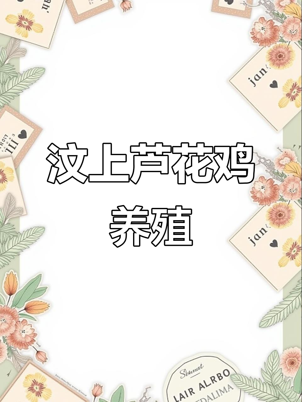 纯种汶上芦花鸡，公母搭配任你选，产蛋量高