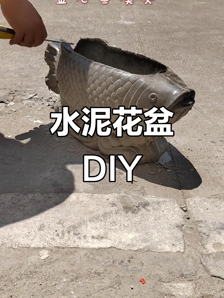 自制水泥花盆模具,打造独特园艺风格