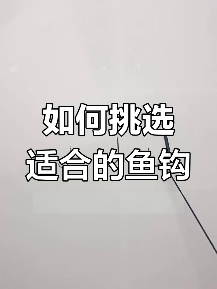 鱼钩选择技巧大揭秘,选对类型提升钓获