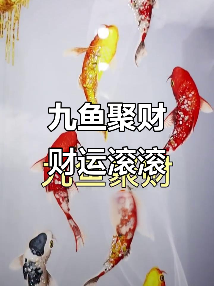九鱼聚财图：流水生金，福禄双至的寓意与祝福