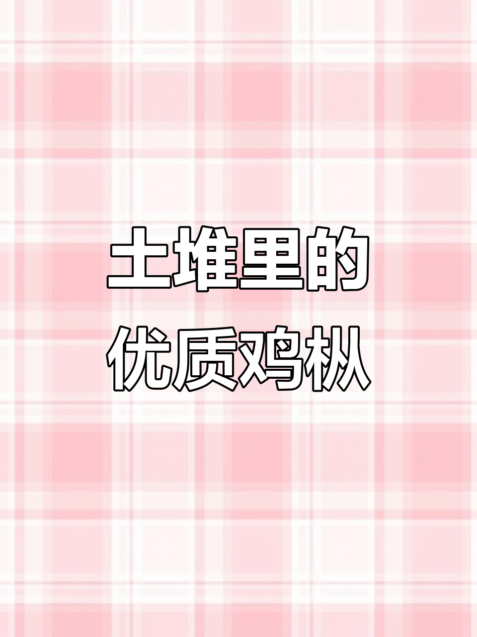 野生鸡枞菌价格差异大,品质如何一眼识破