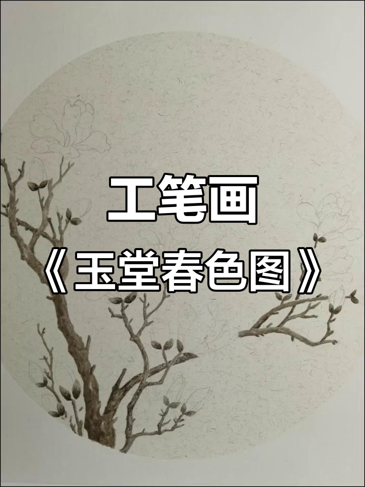 玉兰花与工笔花鸟的完美结合,展现中国传统文化的魅力