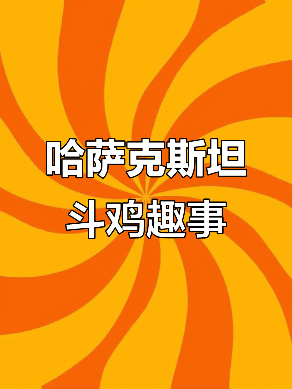 哈萨克斯坦斗鸡文化揭秘,大眼萌态十足