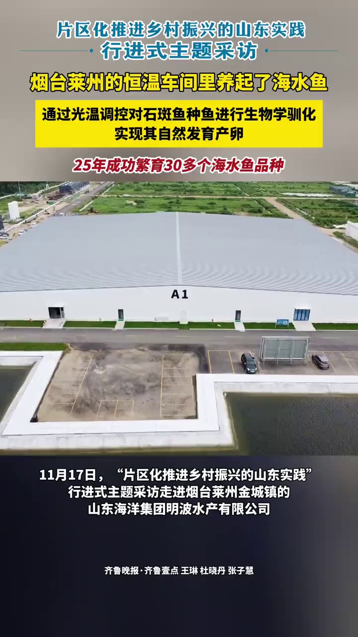 烟台莱州的恒温车间里养起了海水鱼,通过光温调控对石斑鱼种鱼进行生物学驯化,实现其自然发育产