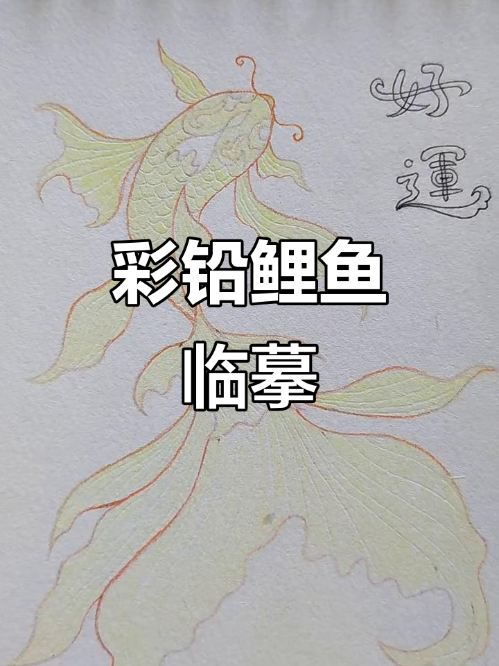 彩铅鲤鱼跃龙门,上色技巧大揭秘