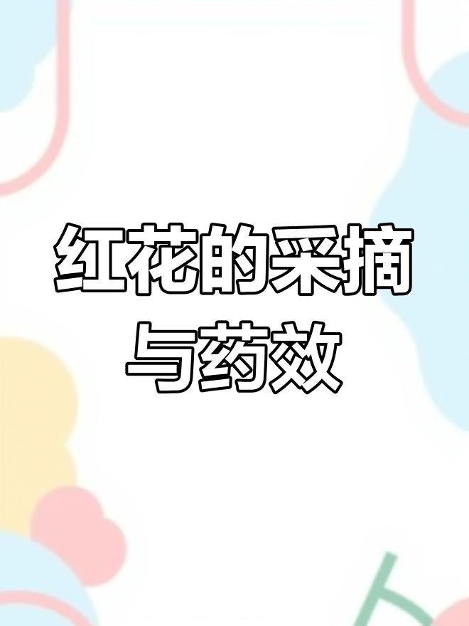 红花:云南地道药材,活血化瘀的神奇之花