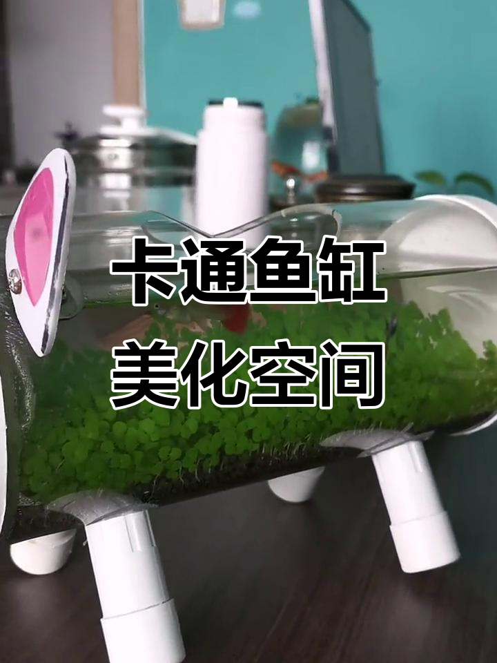 可爱卡通鱼缸，办公室、客厅皆宜，增添趣味与美感