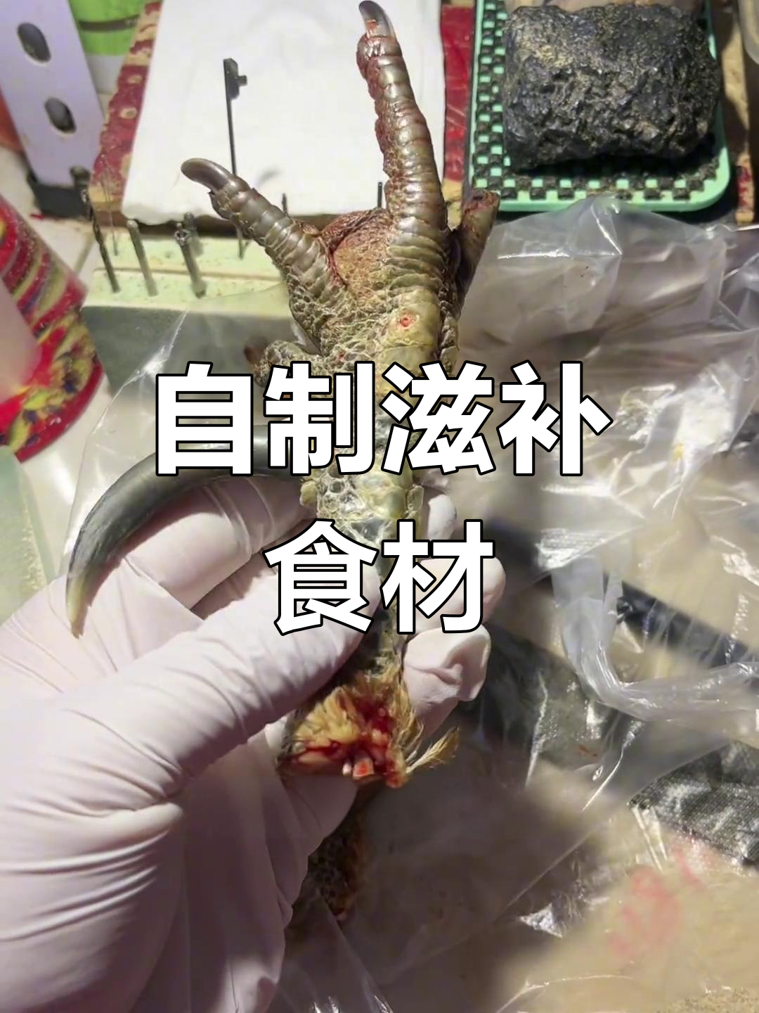 老公鸡爪子与鸡蛋的独特手工制作,滋补养生全分享