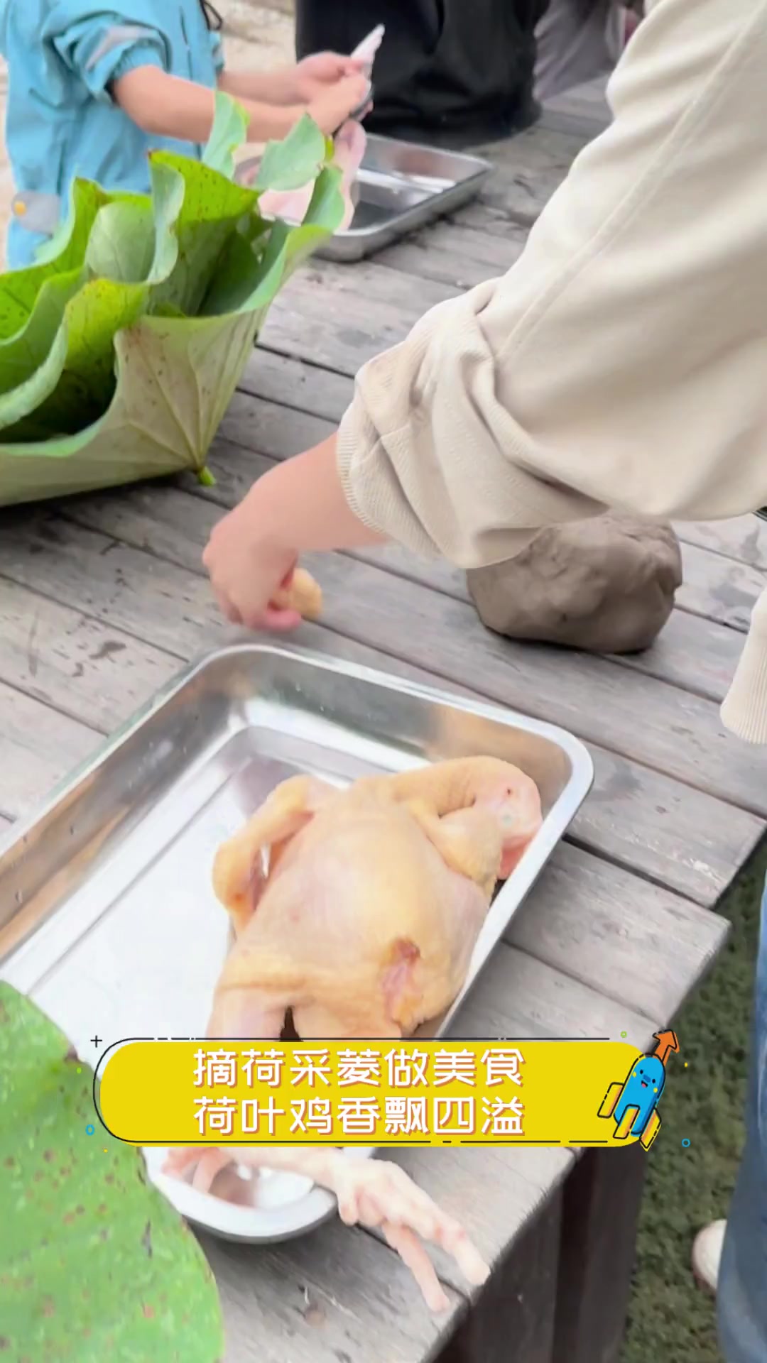 摘荷采菱做美食,荷叶鸡香飘四溢