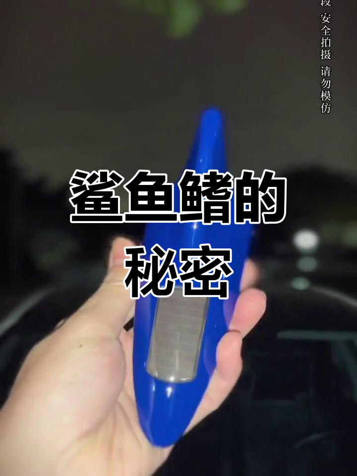 鲨鱼鳍到底有啥用?高速行驶中的神奇作用揭秘