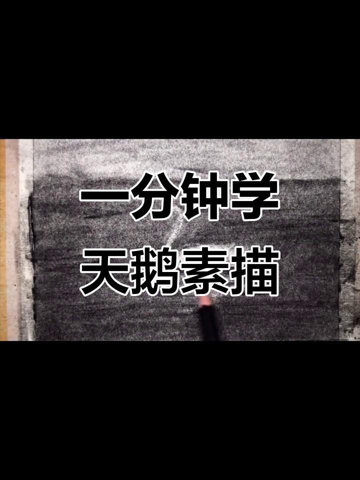 轻松学会画白天鹅，素描技巧大揭秘