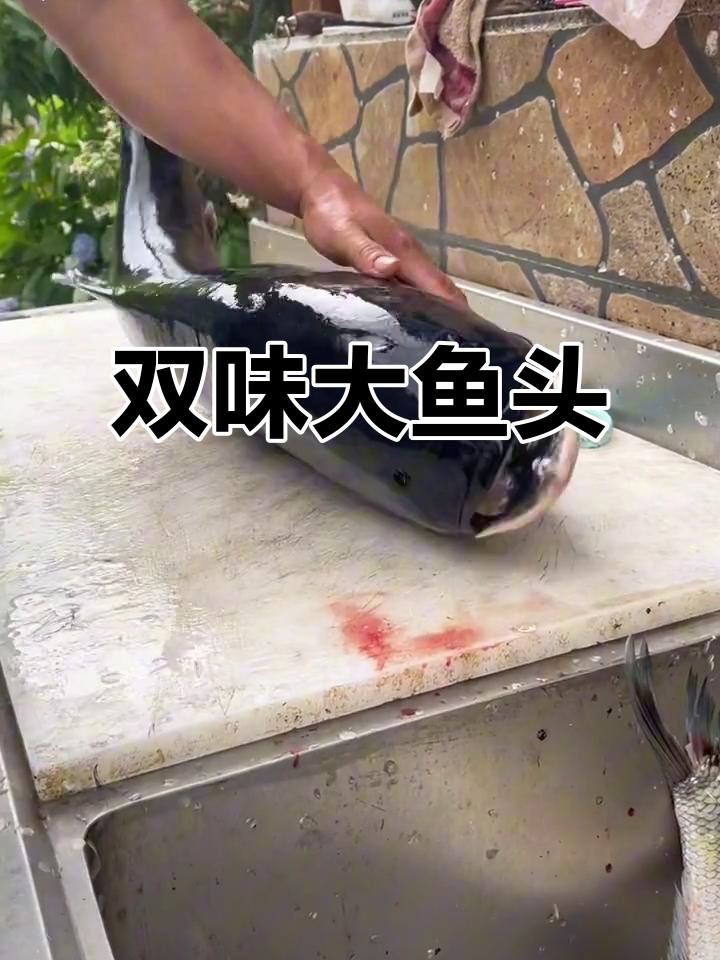 千岛湖大鱼头,红烧与剁椒双拼,汤鲜味浓