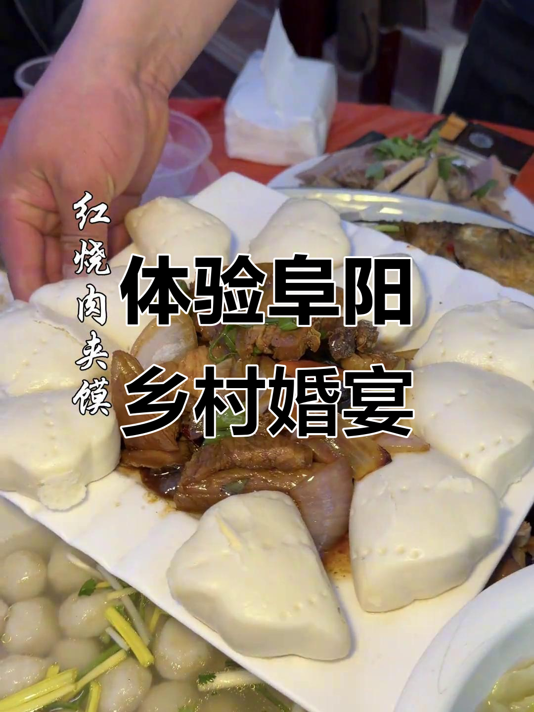 安徽阜阳农村婚宴大揭秘,九道凉菜先上桌,热闹非凡!