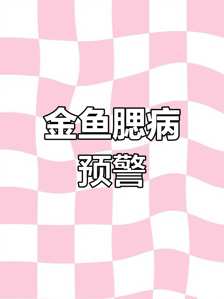 腮病高发期提醒!金鱼健康要小心