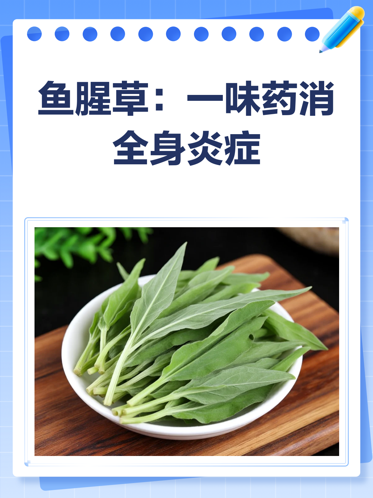 一味药消全身炎症？鱼腥草真的这么神奇吗？