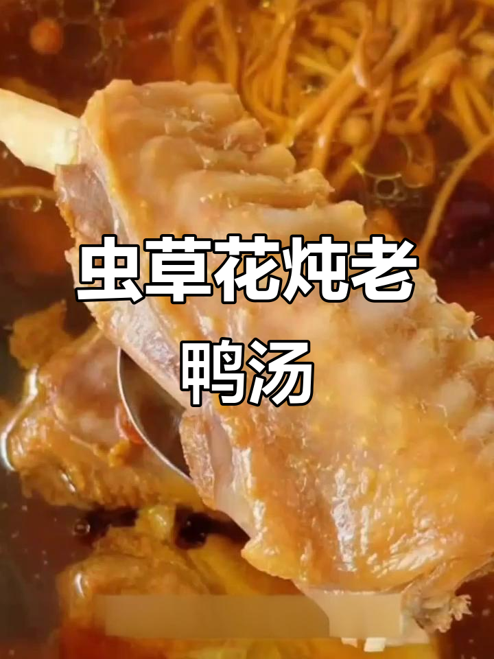 夏季必备!虫草花老鸭汤,清甜滋补又美味