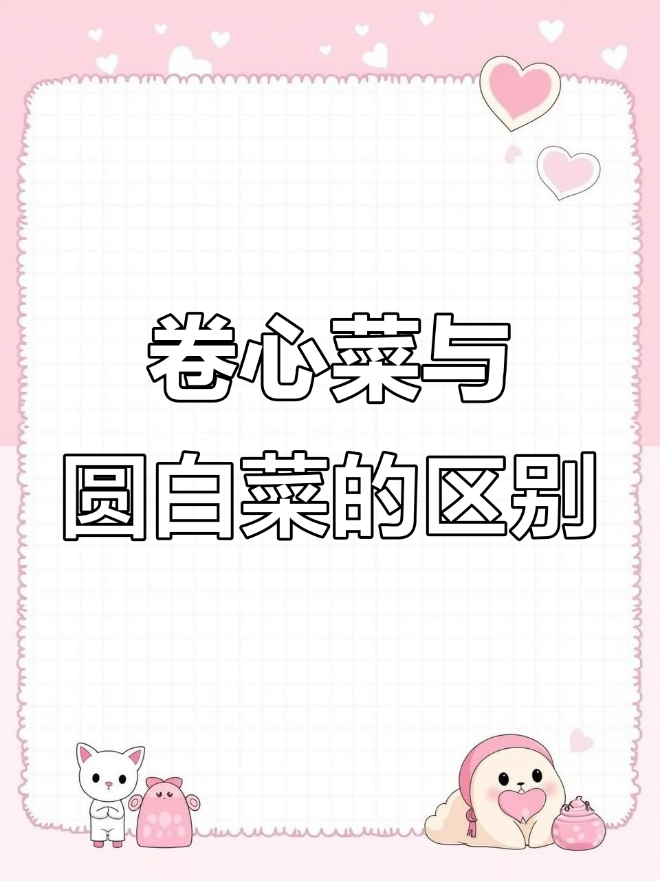 卷心菜和圆白菜到底有啥不同?食物小知识揭秘