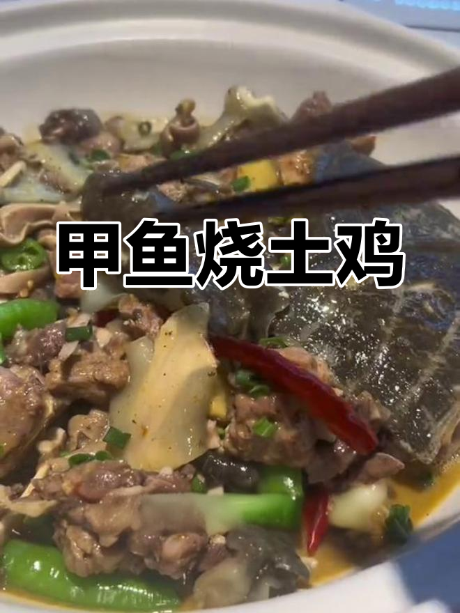 新鲜甲鱼与土鸡的完美炖煮