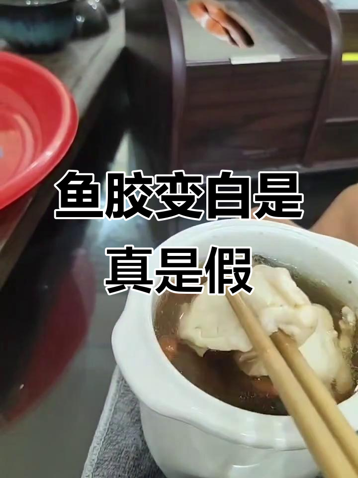 480元一斤的鱼胶炖出乳白色,真假难辨