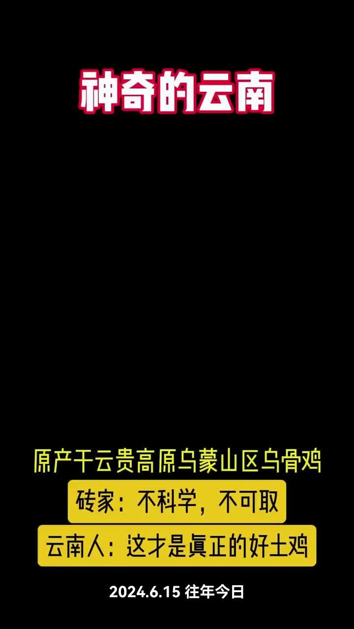 养殖 养鸡 农村散养土鸡 农村创业养殖 无量山土鸡