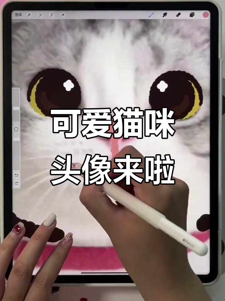 超萌小猫头像,快来挑战你的心!