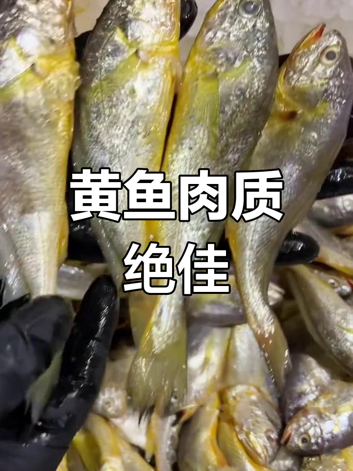 小黄鱼鲜嫩,多种做法皆宜,蒜瓣肉质令人陶醉