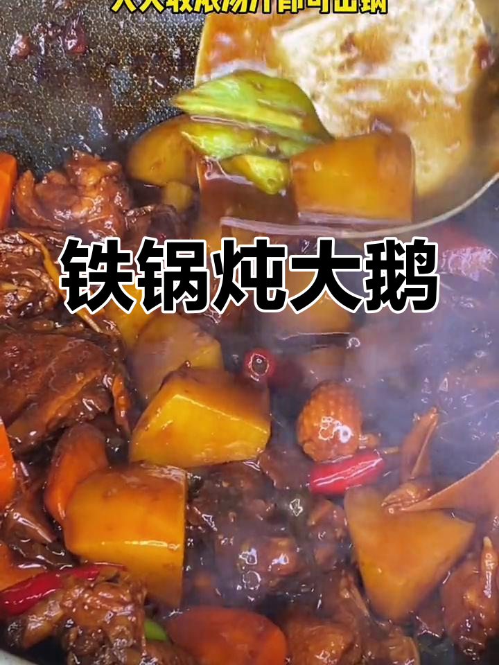 铁锅炖大鹅,香气扑鼻!教你做正宗农村散养走地鹅
