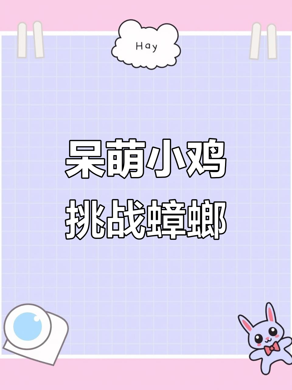 小鸡与蟑螂的“对决”:呆萌小鸡如何玩弄大蟑螂于股掌之中