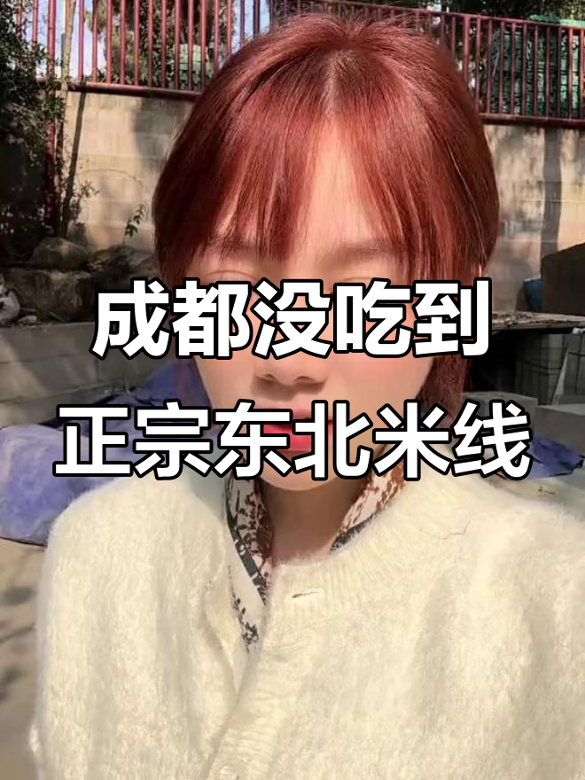 成都东北味过桥米线没找到,麻辣烫却意外好吃