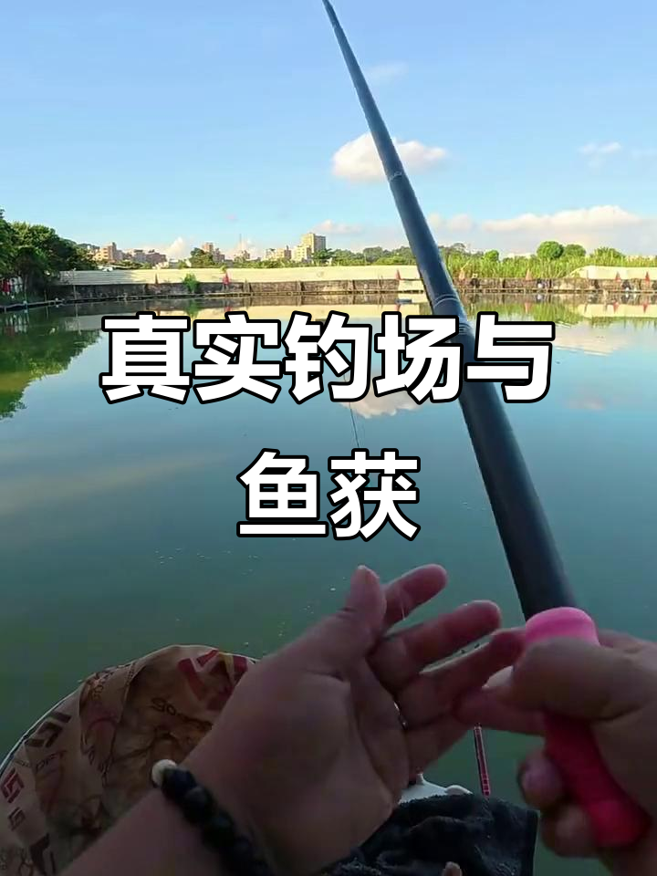 钓鱼点分享:从开饵到鱼获的真实体验