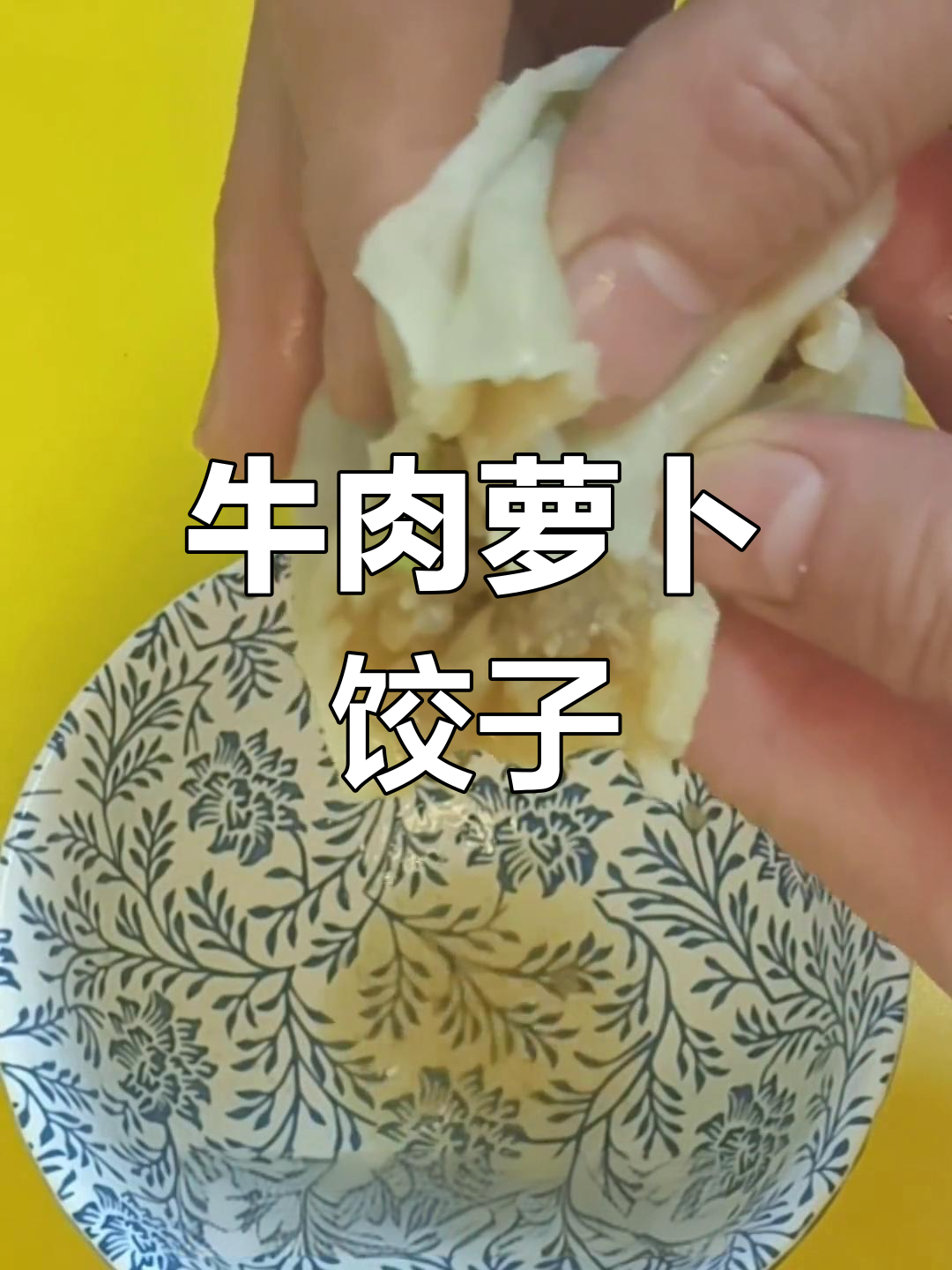 牛肉萝卜馅小蒸饺,汤汁满溢鲜香四溢