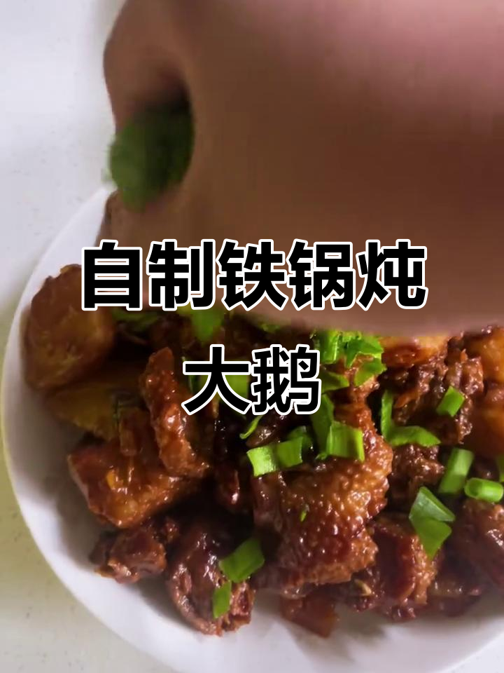 家庭版铁锅炖大鹅，土豆搭配更美味