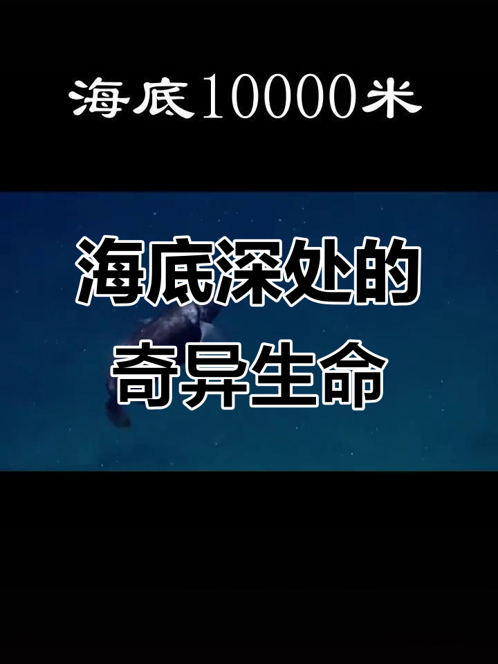 深海龙鱼:从两千米到一万米,海底神秘生物揭秘