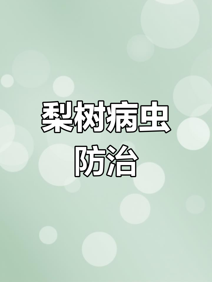 梨树各阶段常见病虫害,果农必看!