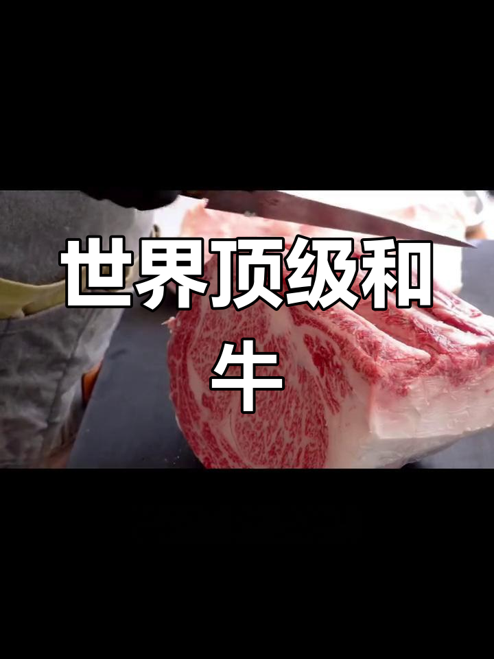 全球最昂贵的牛肉,M12和牛的奢华美味