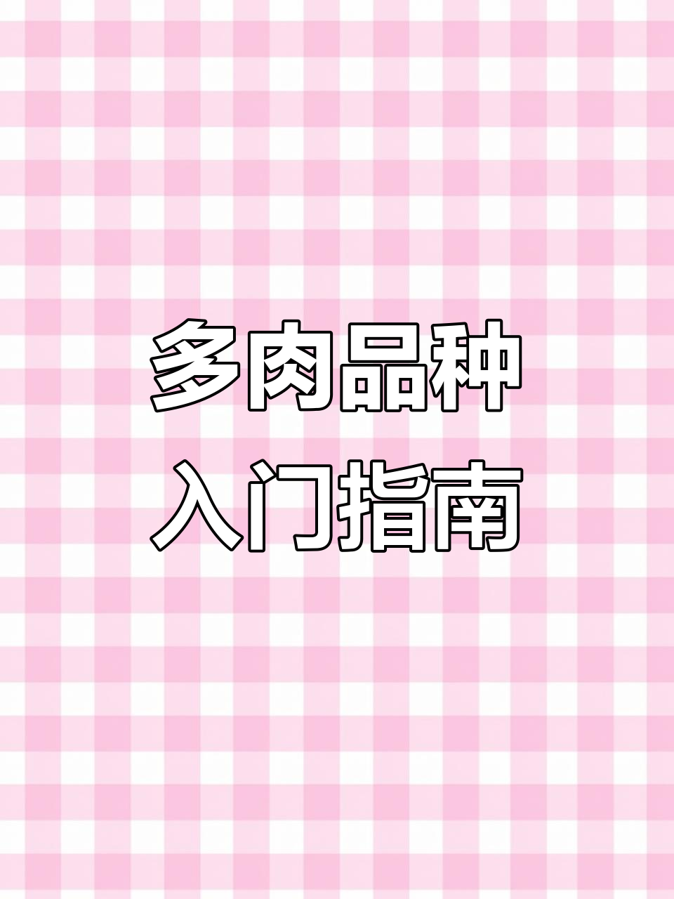 常见多肉品种识别与养护技巧,白牡丹、观阴莲等全解析