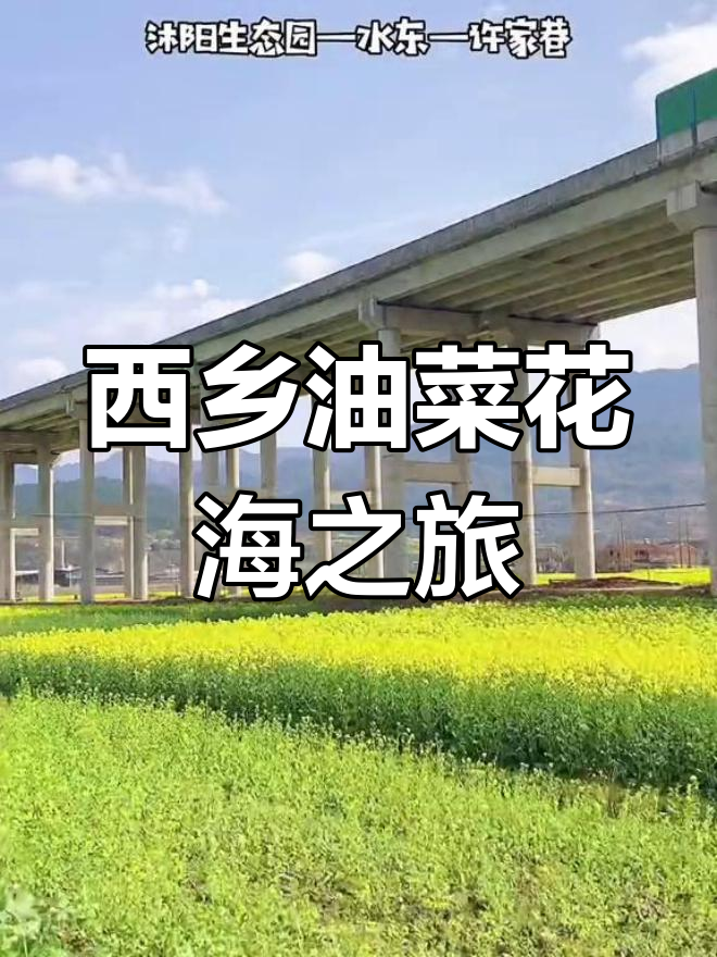 2021油菜花海盛典,西乡县金瓶观花路线全攻略