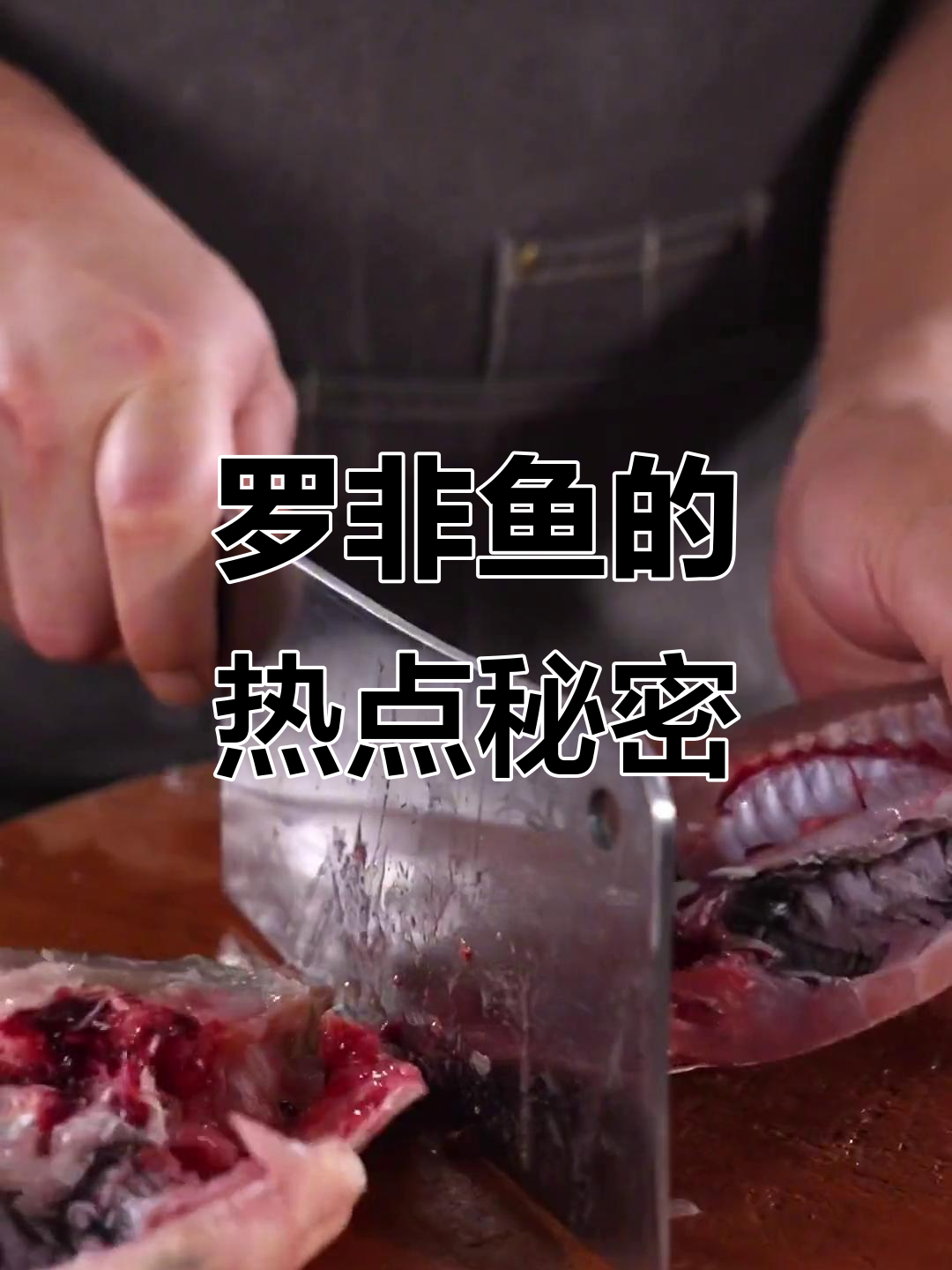 罗非鱼竟是自带热点的网红,厨房里的搞笑反转