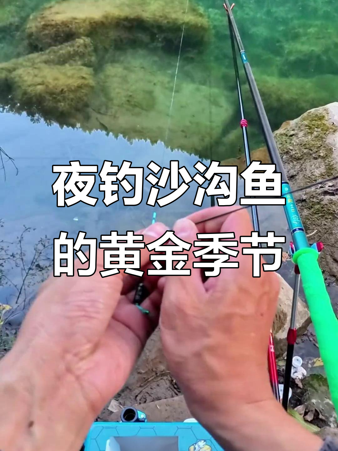 冬季夜晚钓沙沟鱼,双飞连杆让人过瘾